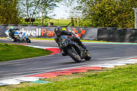 Middle Group Black Bikes